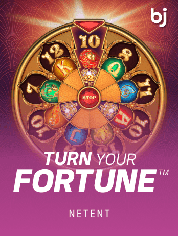 Turn Your Fortune™ icon